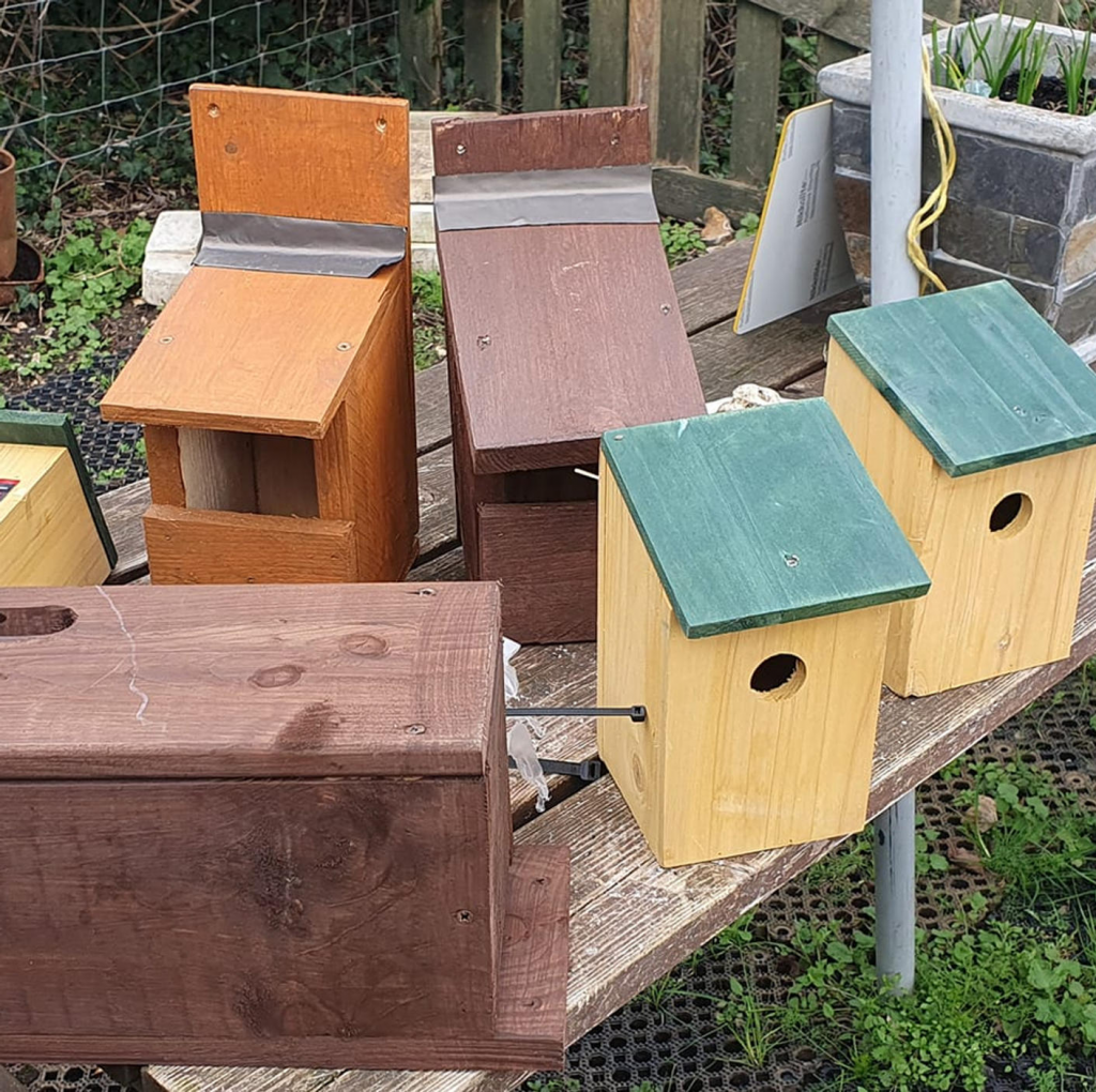 Birds and Bats Boxes